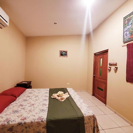 The Jungle Villa Mérida Eksteriør billede