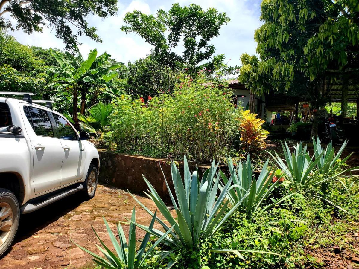 The Jungle Villa Mérida Eksteriør billede