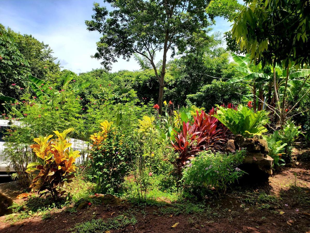 The Jungle Villa Mérida Eksteriør billede