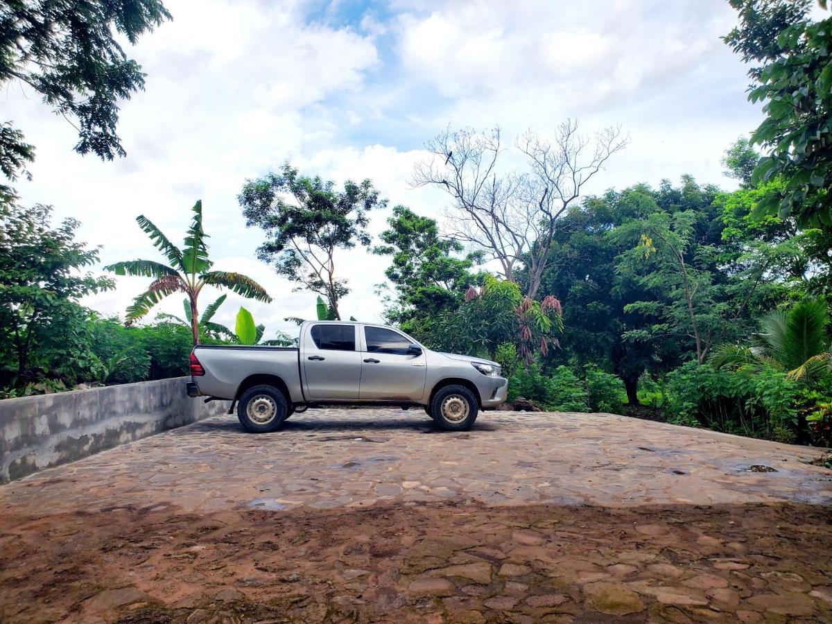 The Jungle Villa Mérida Eksteriør billede