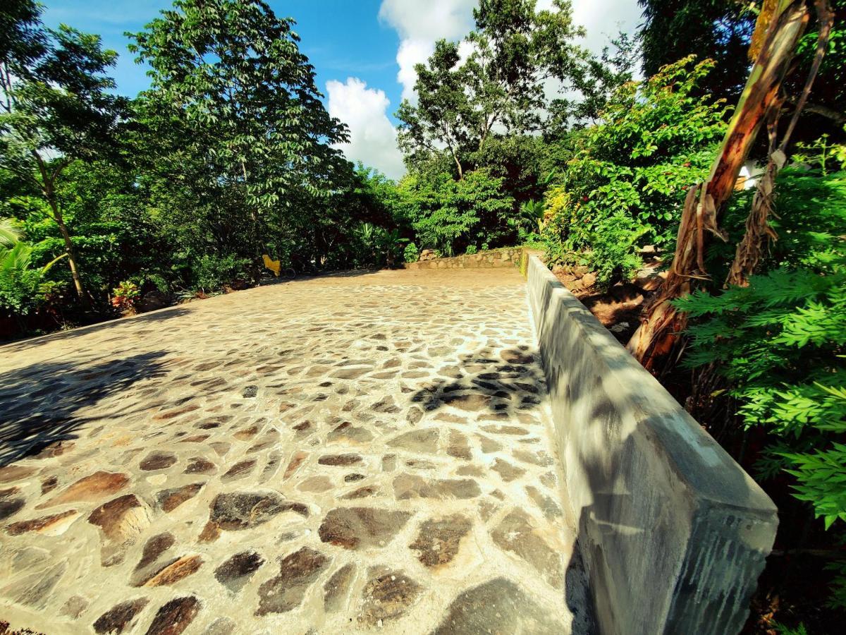The Jungle Villa Mérida Eksteriør billede