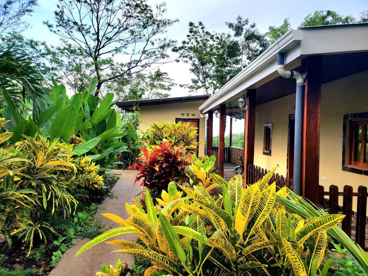 The Jungle Villa Mérida Eksteriør billede
