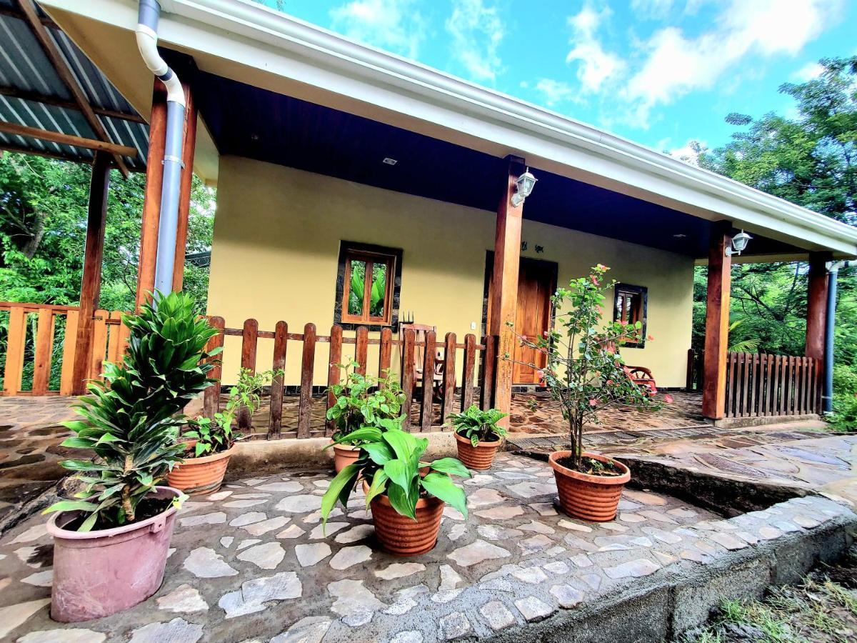 The Jungle Villa Mérida Eksteriør billede