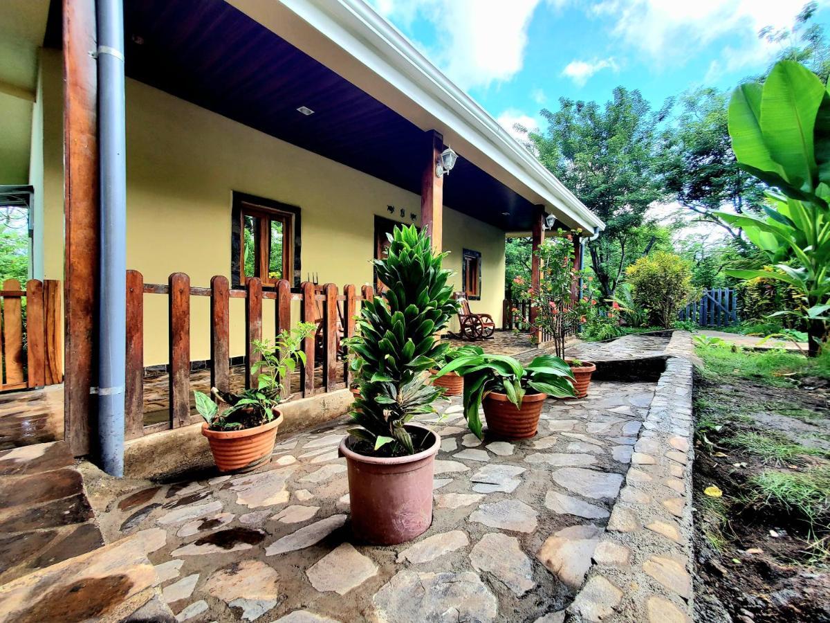 The Jungle Villa Mérida Eksteriør billede