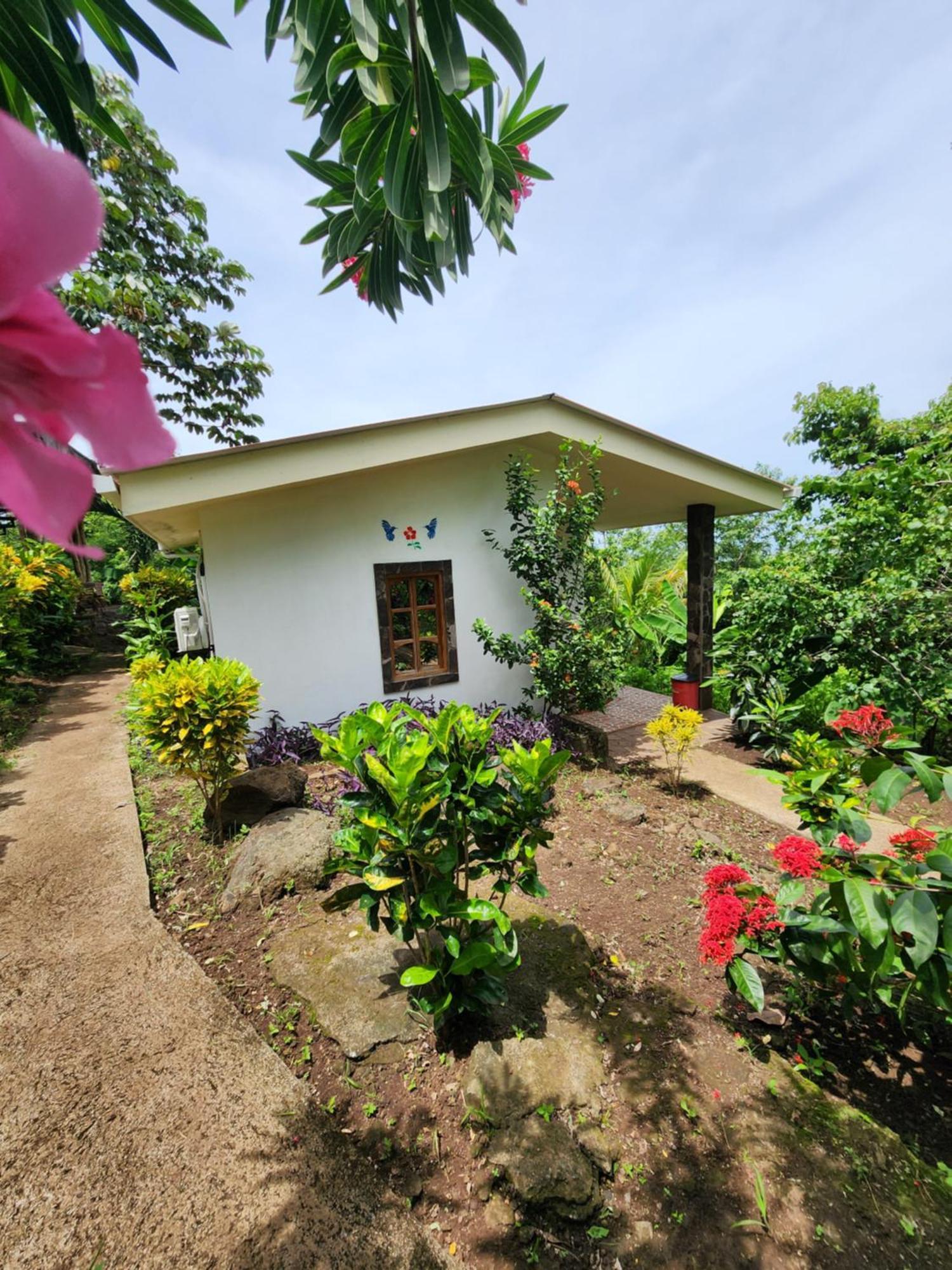 The Jungle Villa Mérida Eksteriør billede