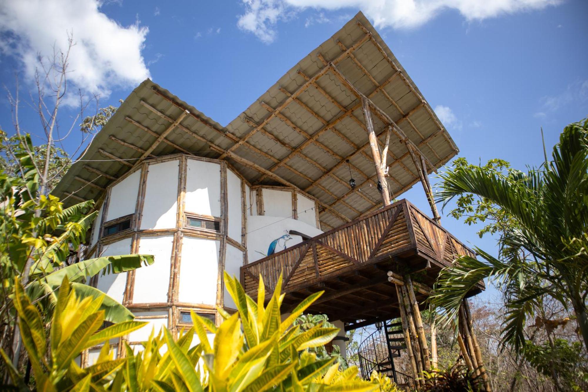 The Jungle Villa Mérida Eksteriør billede