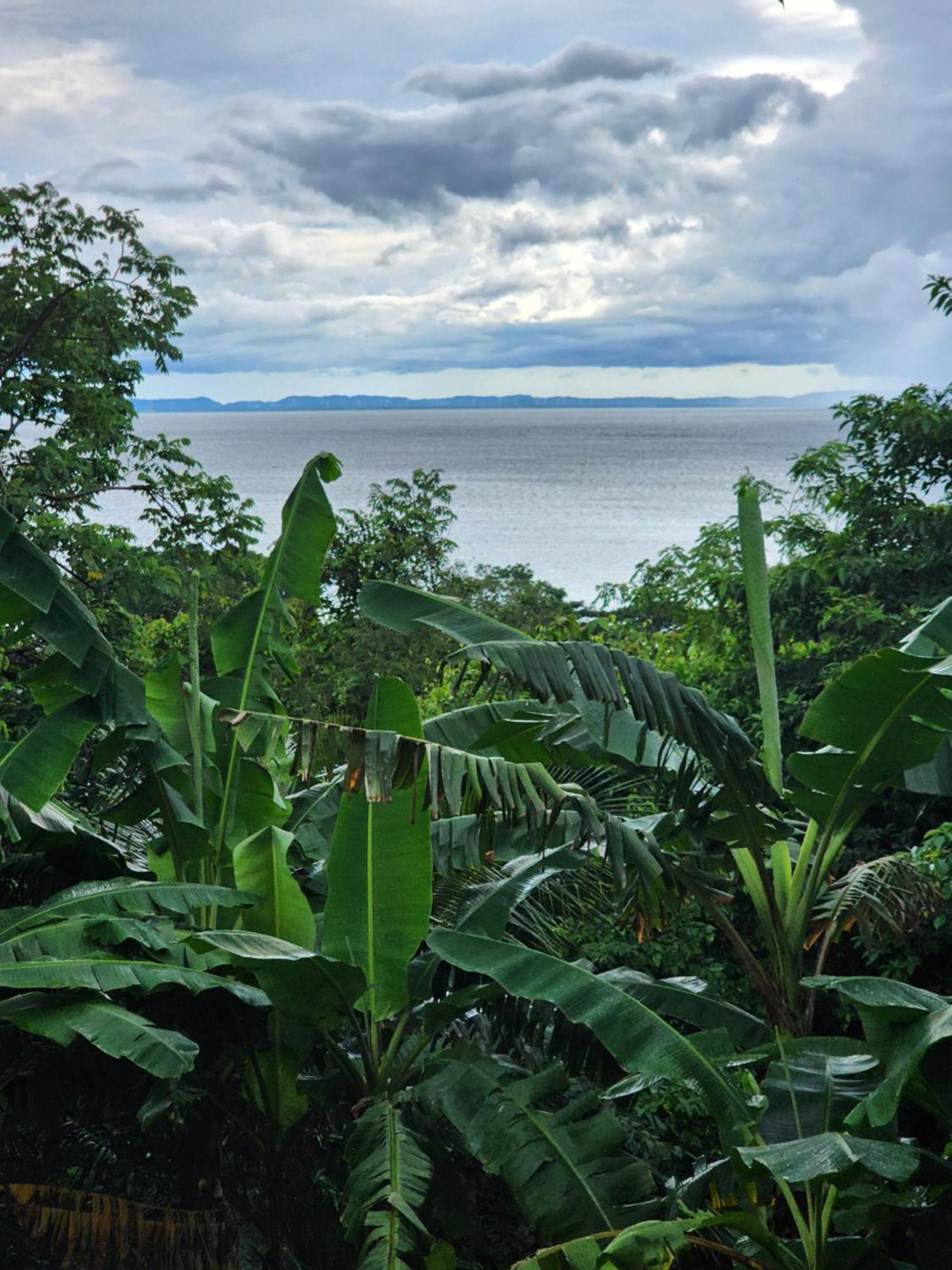 The Jungle Villa Mérida Eksteriør billede