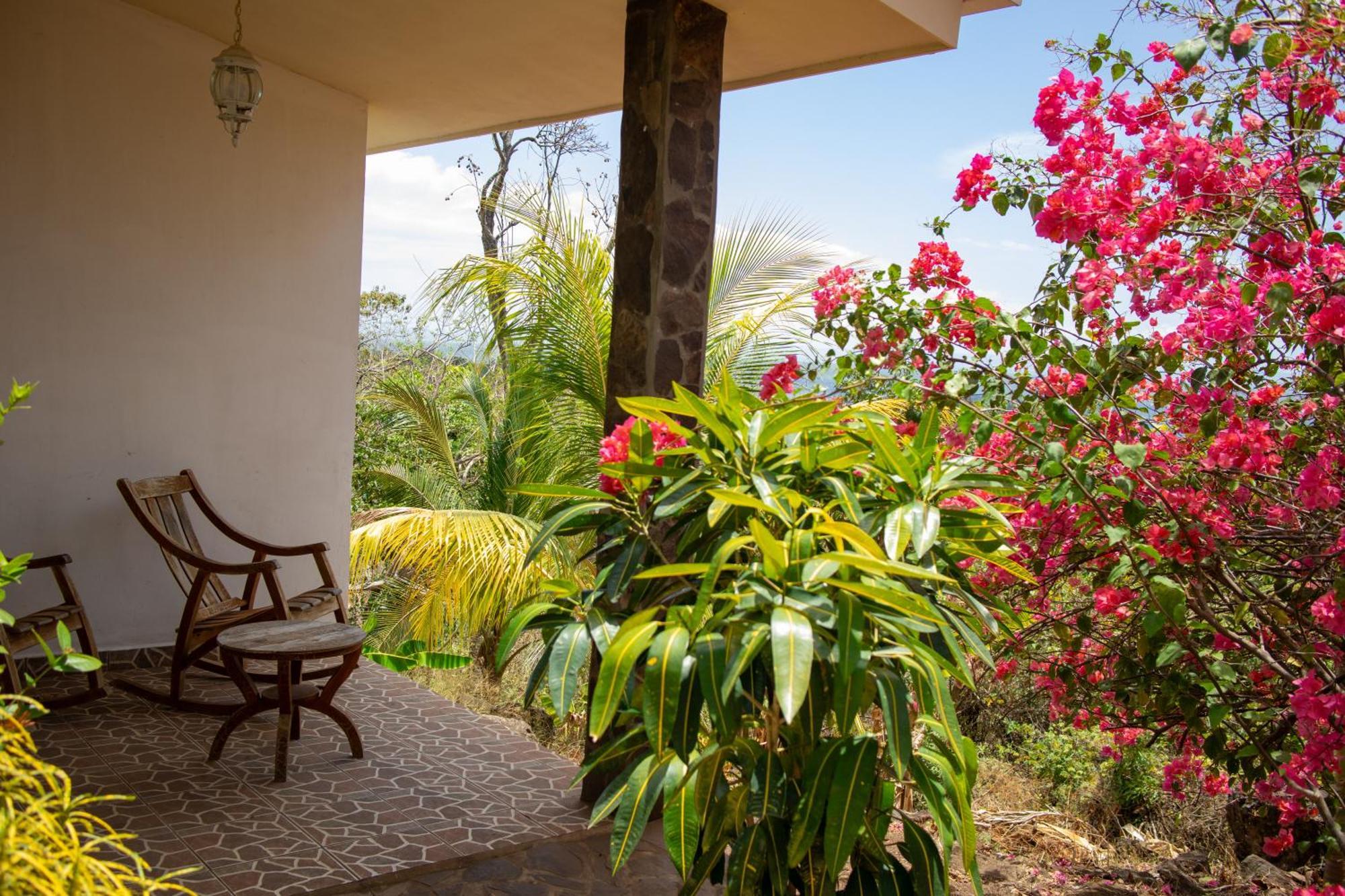 The Jungle Villa Mérida Eksteriør billede